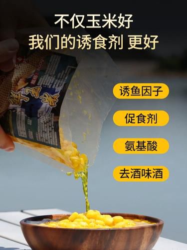 鲜玉米钓鱼饵料做法