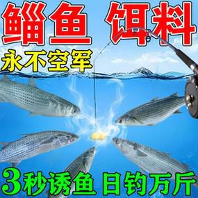 在海上钓鱼用什么饵料