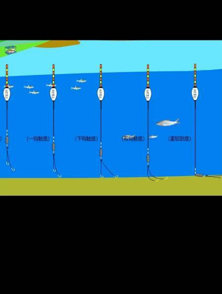 如何知道饵料在水下状态