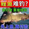 杆子鱼爱吃什么饵料