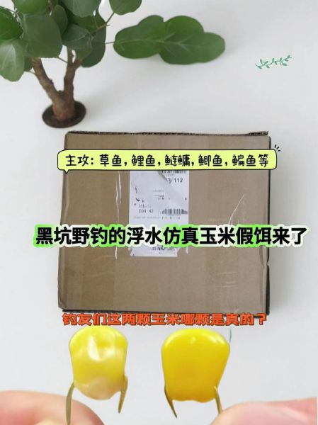 饵料加水后放多少时间