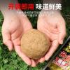 河流钓鲫鱼用什么饵料