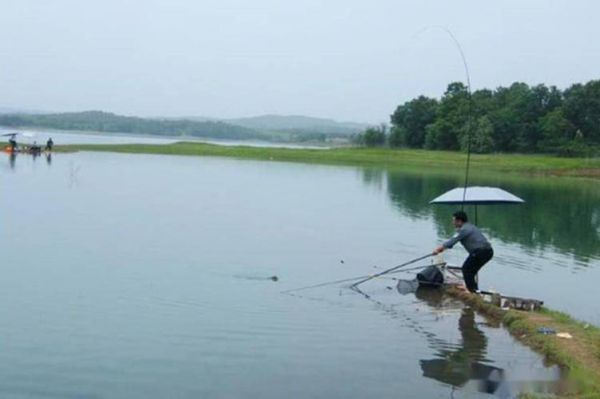 大水库冬钓10米深