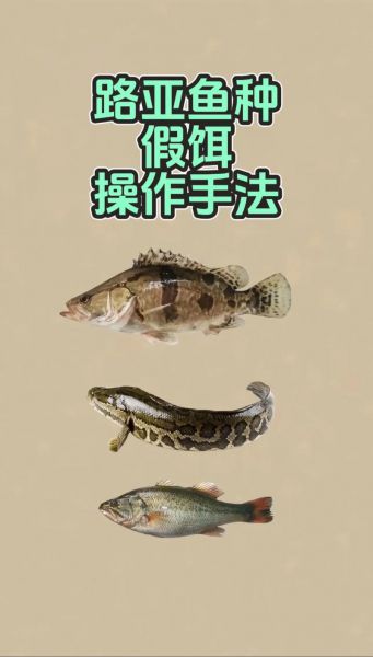 钓鱼穿饵料的正确方法