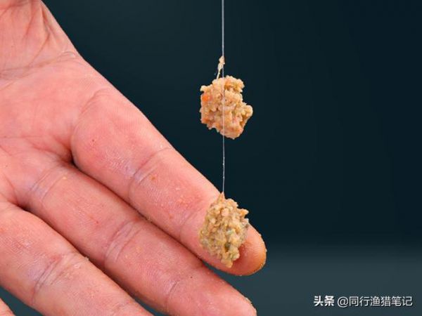 饵料挂钩都要露钩尖