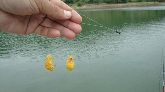 饵料在水里钓鱼过程