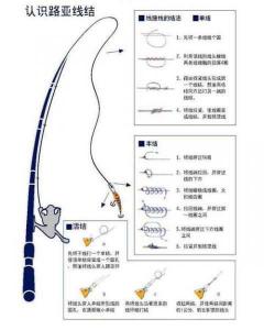 路亚亮片线组连接图解 亮片可以直接绑在主线上吗