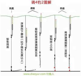 挂玉米钓草鱼时如何调整浮漂：详解漂目设置技巧