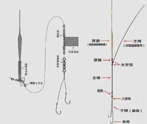 钓完鱼主线子线如何收 钓鱼线怎么分辨主线和子线