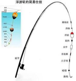 【钓黑鲷必备知识：选择适合的主线号数】