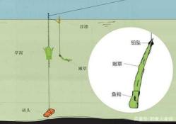 钓草鱼最佳饵料选择与技巧全解析