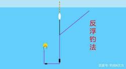 ### 夜钓草鱼秘籍：实战技巧与钓鱼心法