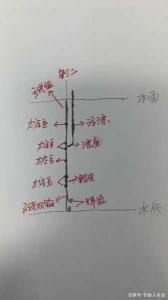 黑坑钓草鱼怎么调漂最好 黑坑挂玉米钓草鱼怎么调漂