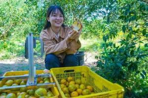 陈皮魅力独特显神通：垂钓草鱼绝学秘籍的秘诀添剂解析