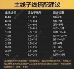 主线1.0 能钓多大的鱼 20的主线能钓多大的鱼