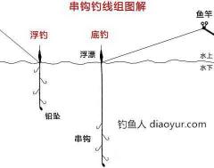 池塘钓草鱼的方法和技巧 怎样钓草鱼最容易上钓