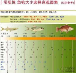 过河钓主线应该配多大的线径？——钓鱼新手进阶指南