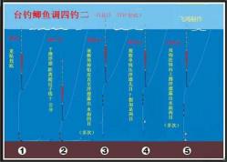 四海渔具钓鱼实战技巧分享：从新手到高手的蜕变之路