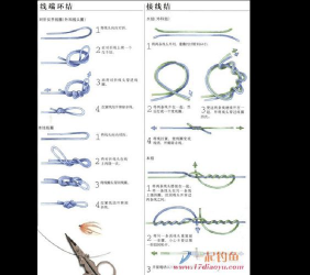 单钩主线绑法详解：钓鱼技巧与实用教程