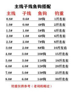 主线1.2子线0.6合理不 手竿主线和子线搭配一览表