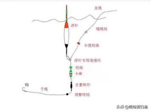 矶竿用多大的主线合适 矶竿滑漂用多大主线