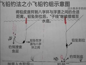 小跑铅钓草鱼 飞铅钓草鱼怎么钓