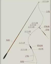 深入了解鱼竿主线结构：构造与特性的全面解析