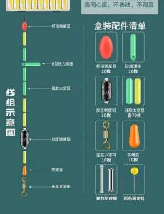 太空豆如何正确推入主线——详细步骤与技巧解析