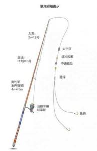 主线与钓组的连接方式——打造完美钓鱼组合