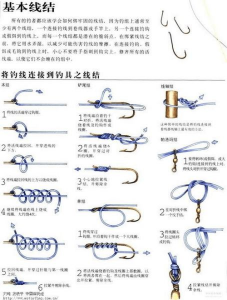 如何正确连接和使用钓鱼渔具：步骤指南与实用技巧