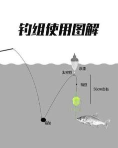 【钓鱼秘籍：探索爆炸钩的最佳主线选择】