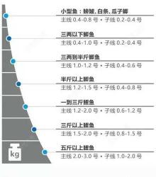 鱼线线号怎么选对照表 鱼线线号怎么选