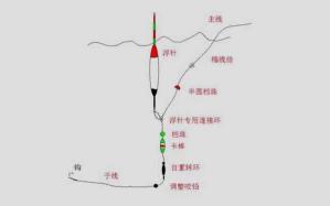 矶钓线能否作为主线使用？全面解析矶钓线的特性与应用场