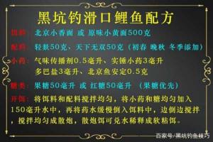 黑坑鱼不开口的原因及解决方法 黑坑有鱼泡不开口咋办