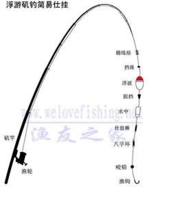 矶竿滑漂用几号主线 滑漂用什么主线