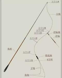 鱼线连接方法视频 鱼竿主线和子线怎么连接