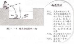 如何有效地进行野钓草鱼打窝——实用技巧与策略