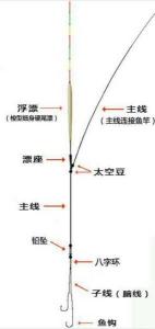 钓鲢鳙线组怎样搭配合适 钓鲢鳙的线组是怎样连接的