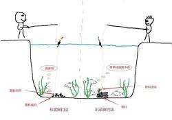 探究钓草鱼的最佳策略：钓半水还是钓底？全方位解析助你成功钓获