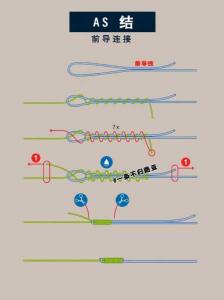 路亚主线前导线搭配：提高钓鱼成功率的关键技巧