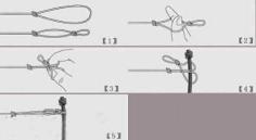 【钓鱼必备技能】竿与主线绑法详解图解
