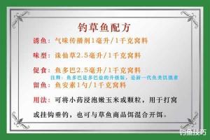 老玉米煮烂伴酒钓草鱼——垂钓爱好者的绝佳钓饵制作攻略