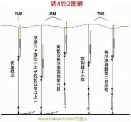 温度为15度以上怎么钓草鱼调漂 江河温度多少能钓草鱼