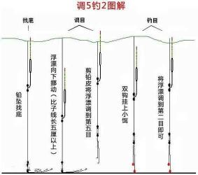 冬季黑坑钓青鱼怎样调漂 冬天黑坑钓青鱼调漂