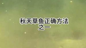 深秋时节钓鲤鱼草鱼攻略