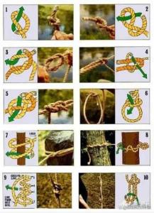 主线打结法简单：初学者必学的快速绑绳技巧