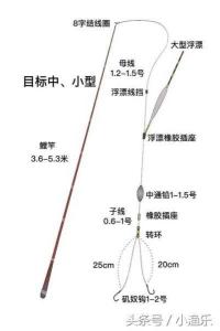 渔具怎么安装图解 渔具店怎么陈列浮漂