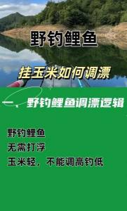 钓大鱼挂玉米怎么调漂 玉米野钓鲤鱼调漂方法