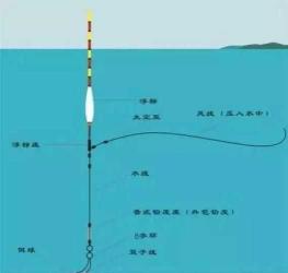 玉米钓草鱼调漂技巧详解