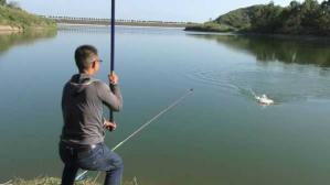 野钓河里都是水草怎么钓鱼 河道水草多怎么钓鱼